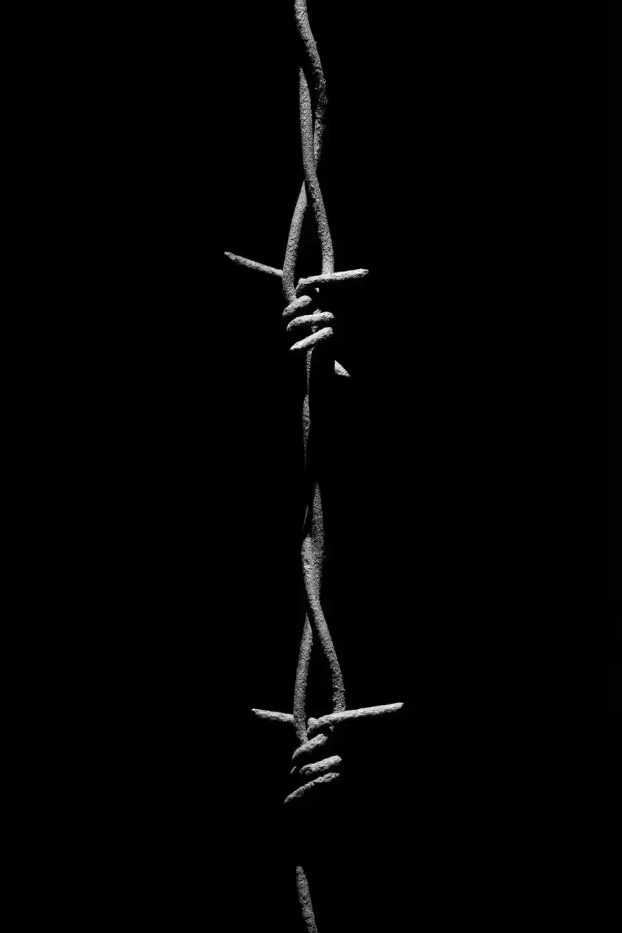 A string of barbed wire on a black background