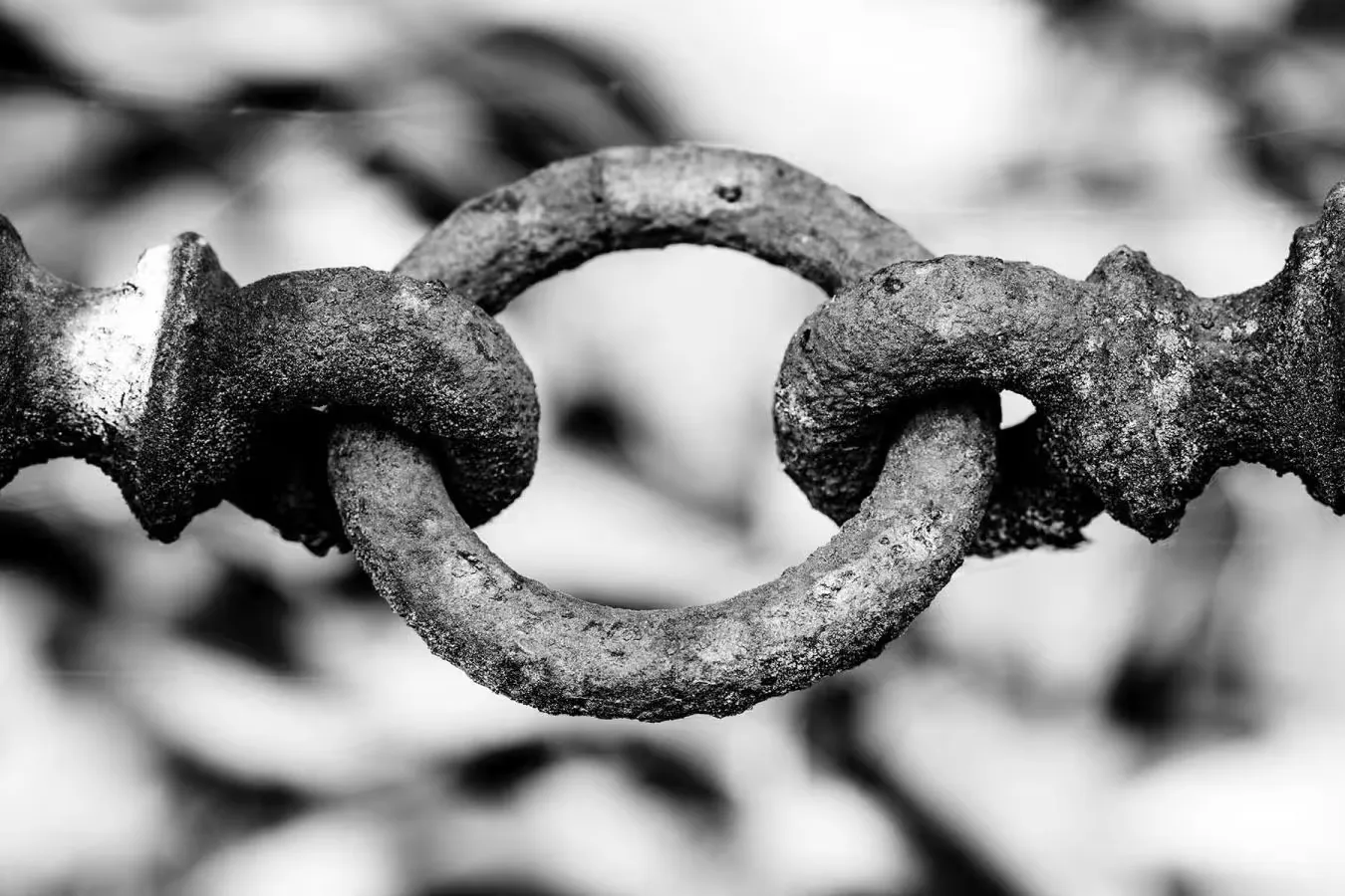 A close-up of a ring in a fence chain