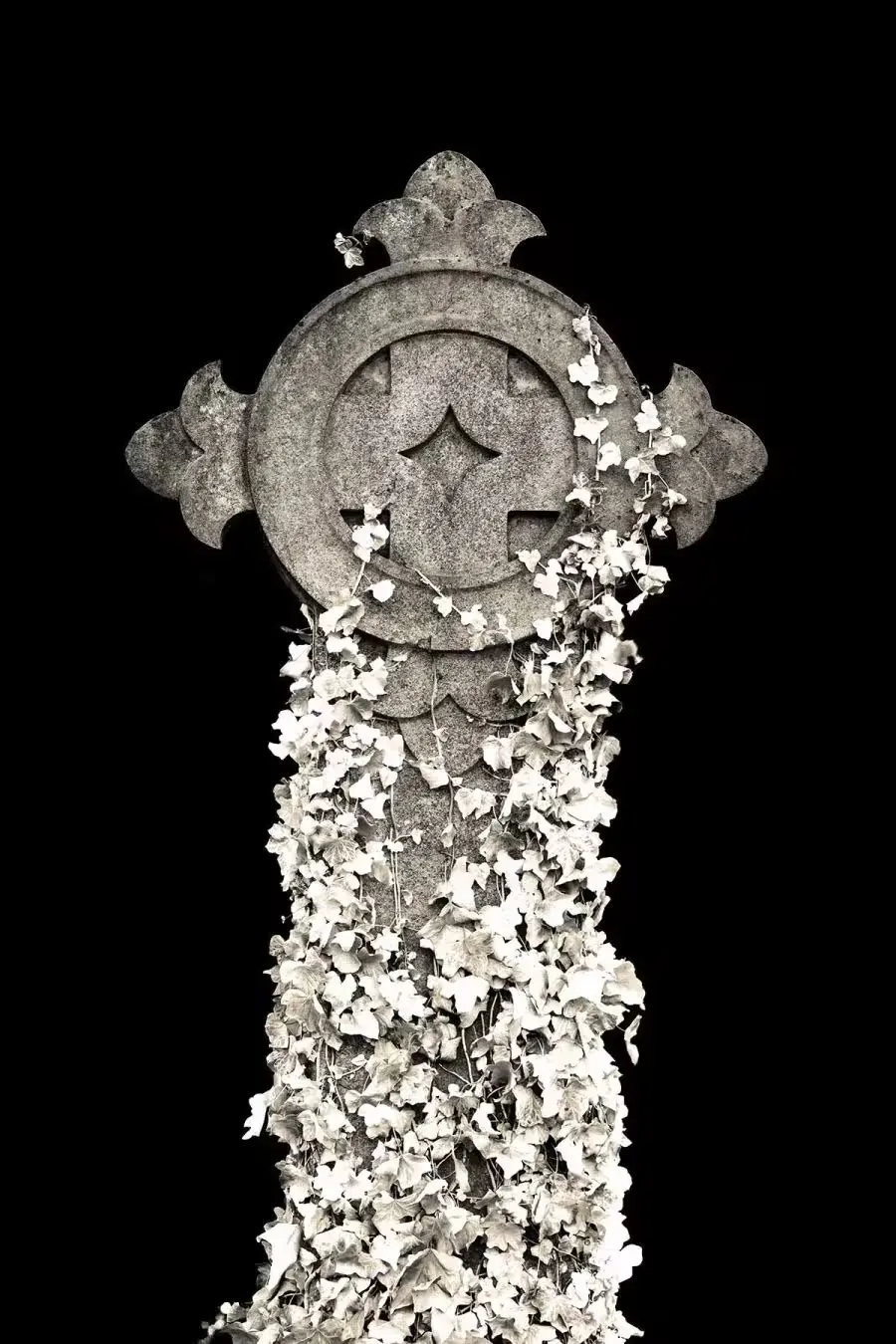 A stone cross covered in vines