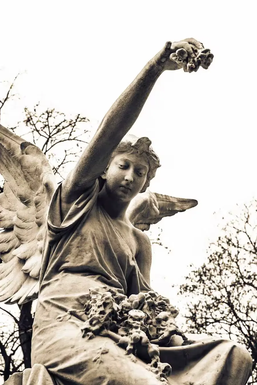 TODO: describe this image