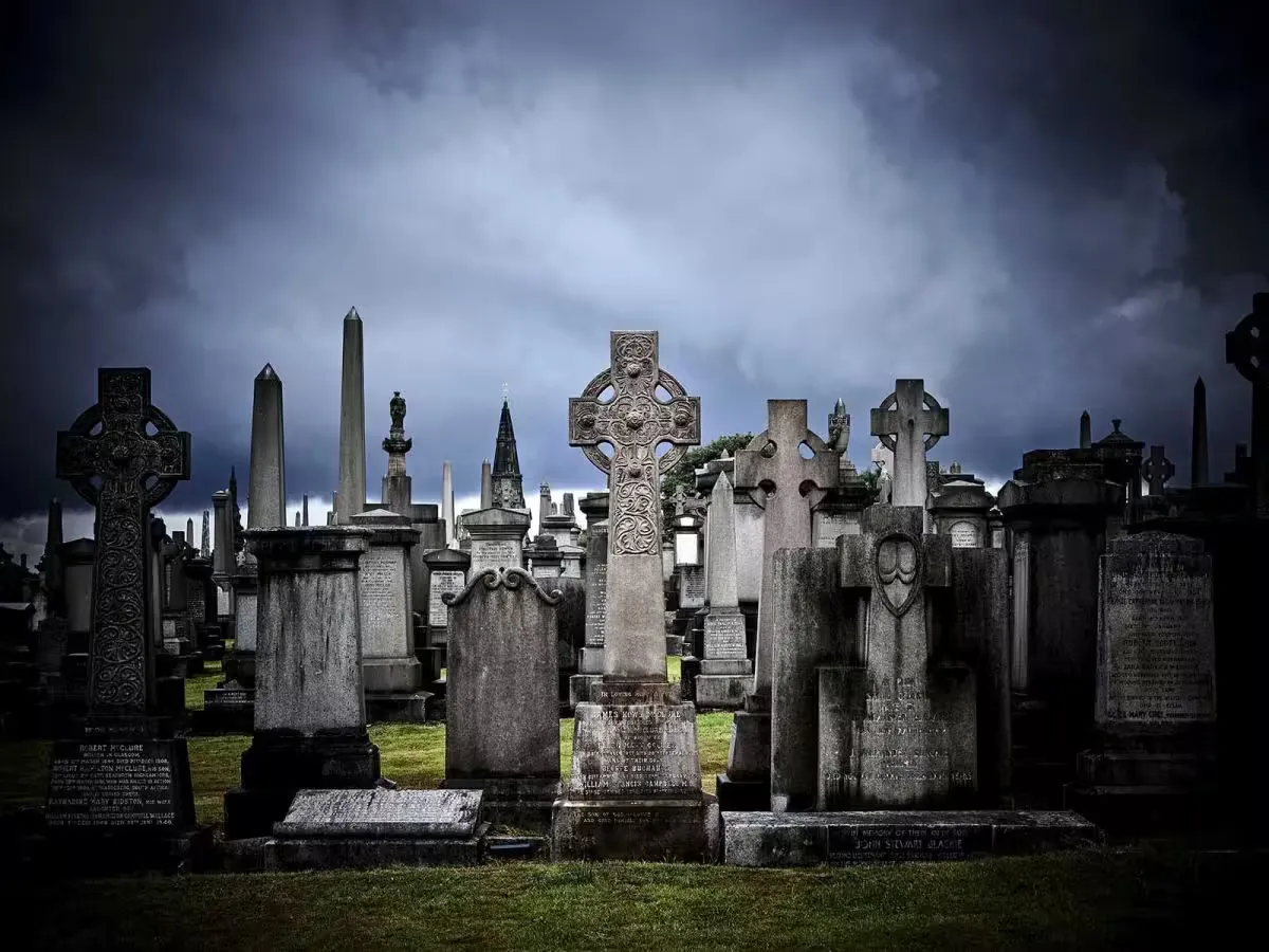 TODO: describe this image