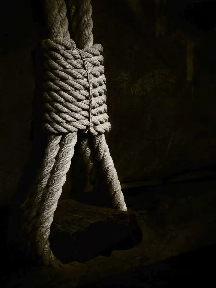 TODO: describe this image