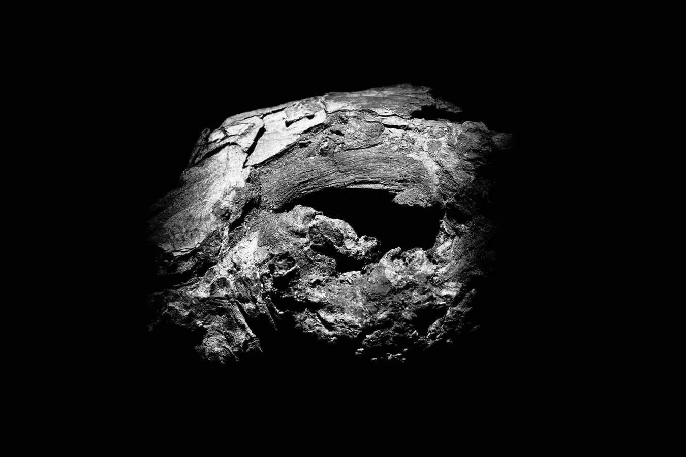 Piece of wood shaped like a mask