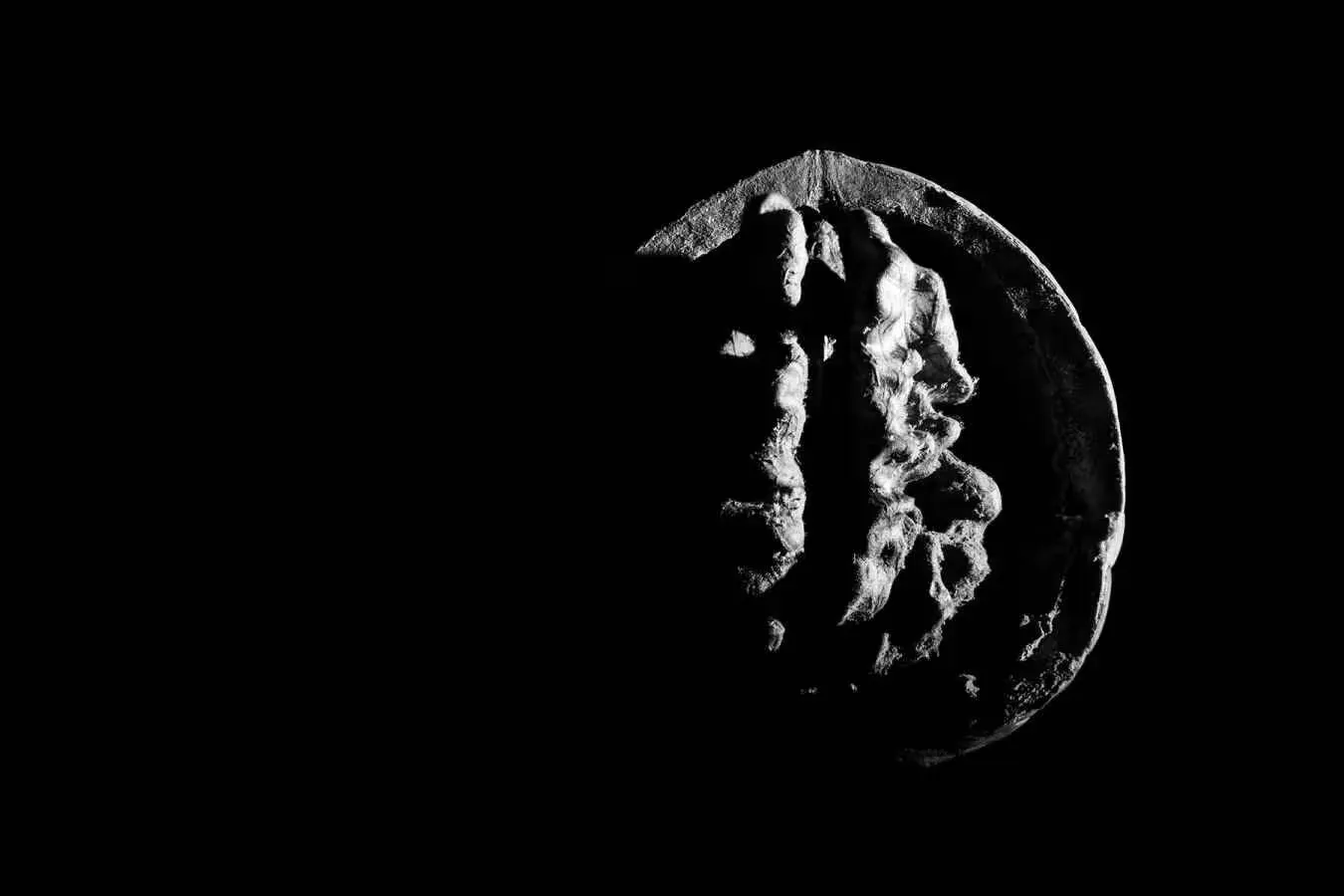 A walnut cut in half