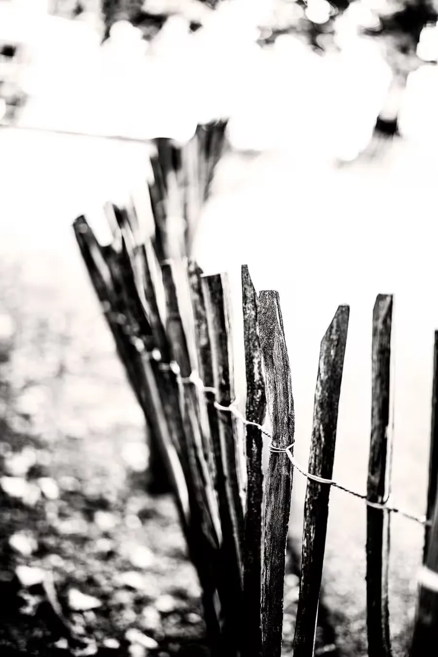 A loose hedge made of sticks