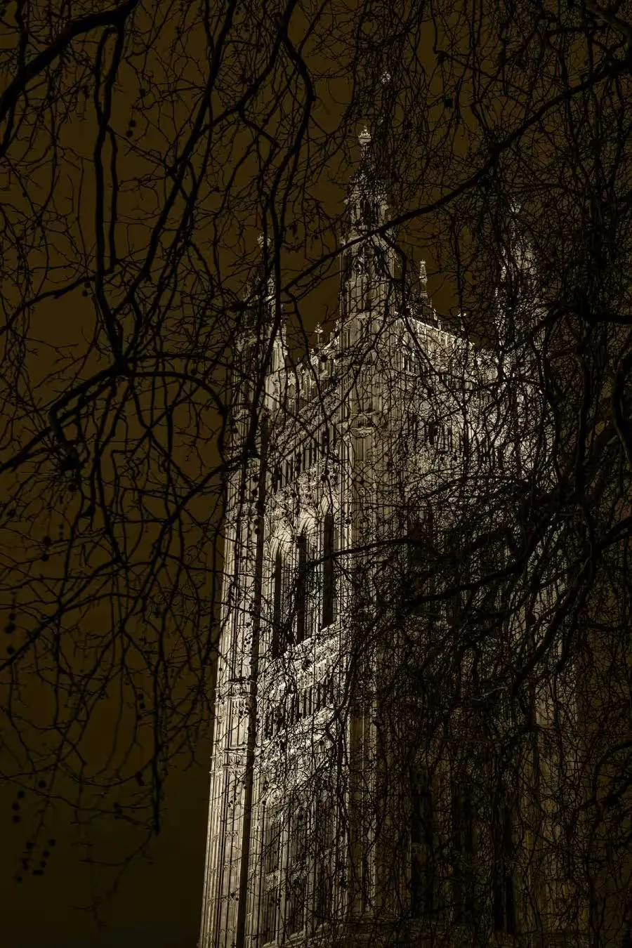 The tower of Palace of Westminster
