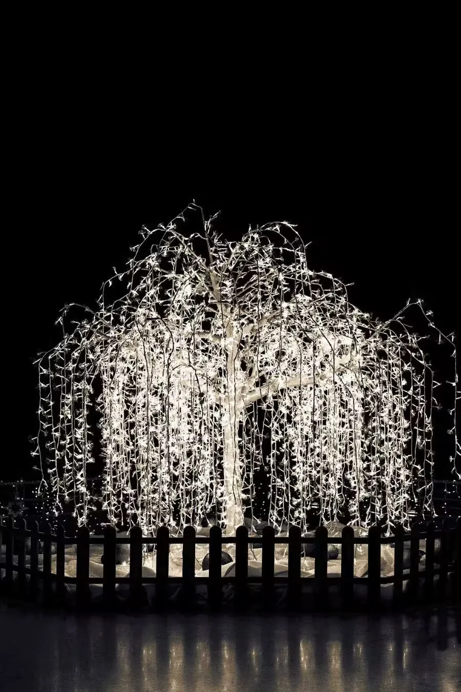 A tree with each branch covered in lights