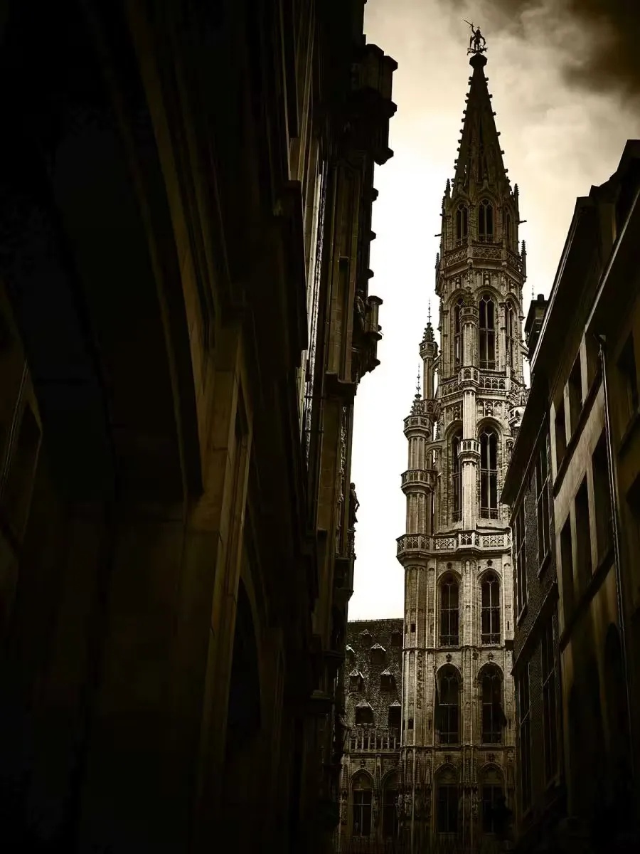 The tower of Brussels' Town Hall