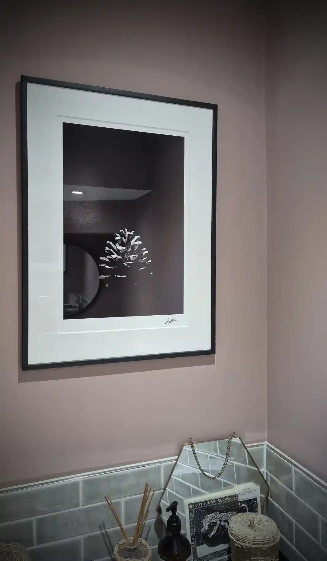 Framed photo of a pine cone in the dark